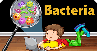 Life & growth of microbes & bacterial organisms.
